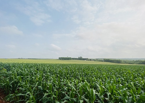 1649398062242919.png image.png