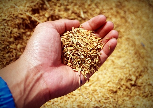 1649832155101066.png image.png