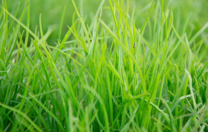 1651123279211698.png 1651123279211698.png