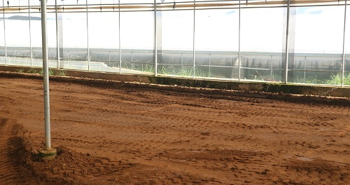 1668058857202126.png image.png