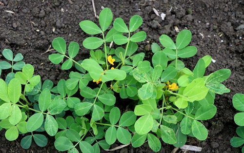 1669098580718538.png image.png