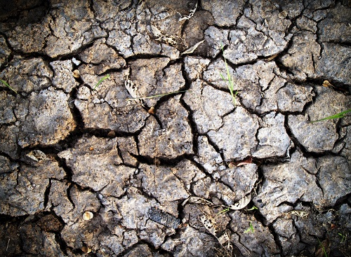 1671692137306546.png image.png