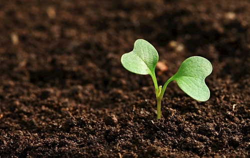 1672037198421227.png image.png