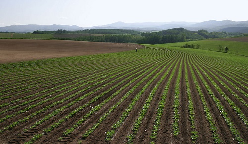 1673505009144930.png image.png